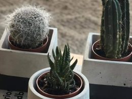Concrete Planter