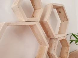 Hexagon Hive Shelf