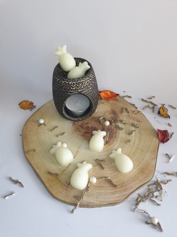 Wax melts - Image 3