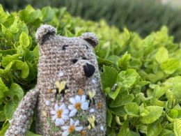 Teddy Bear with bees