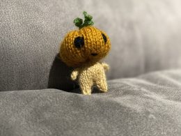 Pumpkin fellow