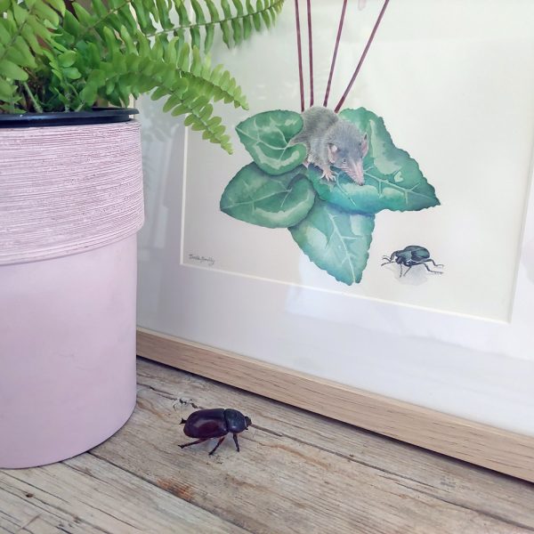 Delicate Hand-Painted Botanical Illustration: Cyprus Cyclamen, Shrew, and Endemic Beetle - Image 5