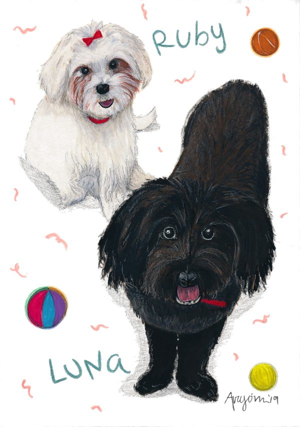 Custom PAWTRAIT illustration of your pet - Image 7