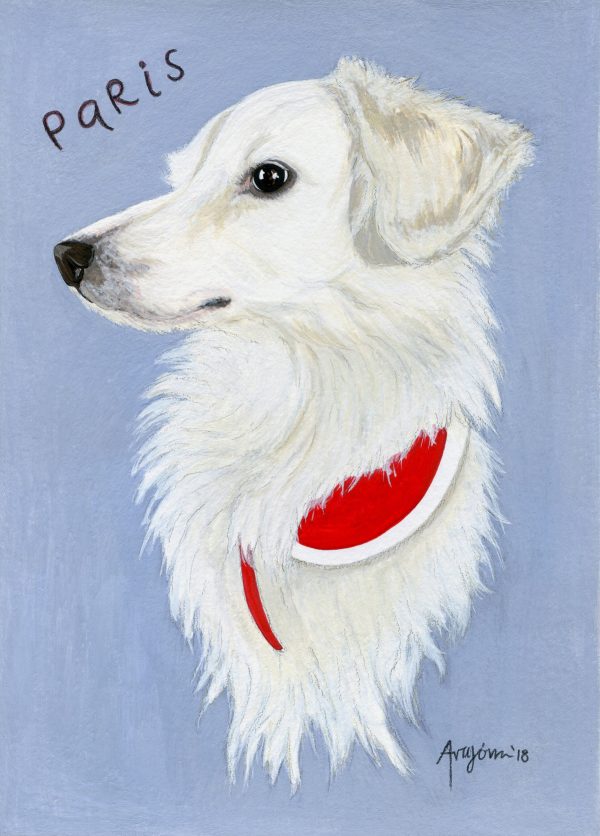 Custom PAWTRAIT illustration of your pet - Image 12