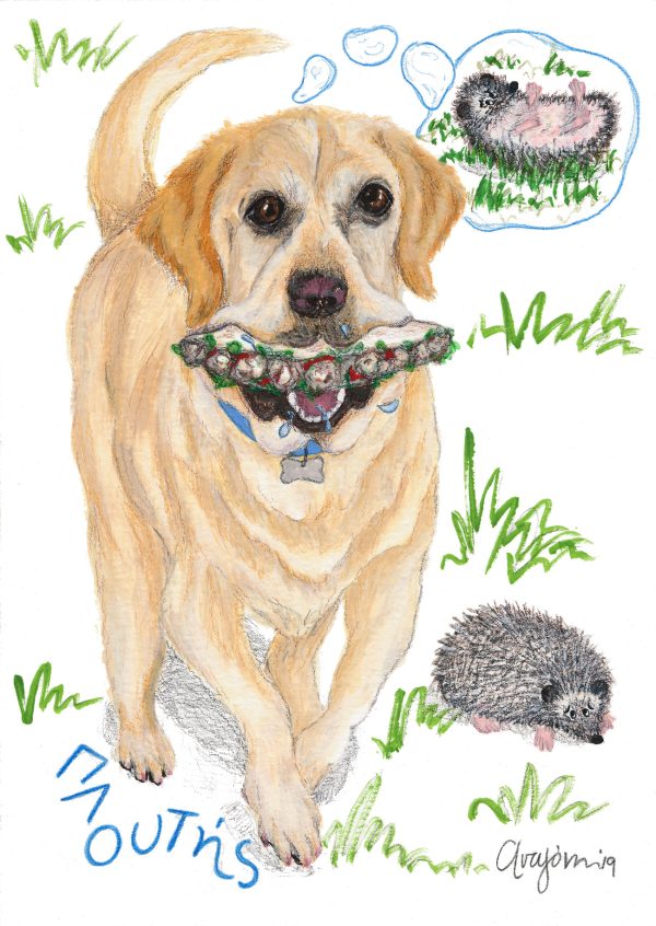 Custom PAWTRAIT illustration of your pet - Image 2