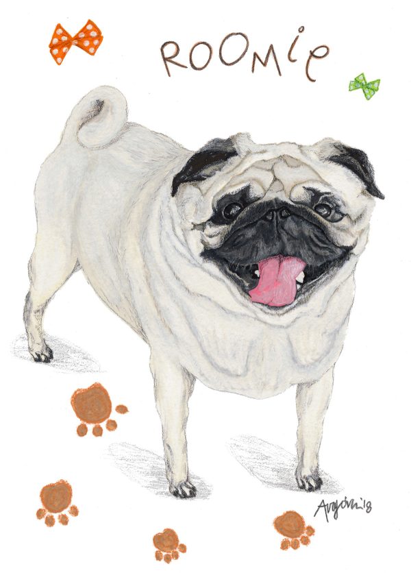 Custom PAWTRAIT illustration of your pet - Image 11
