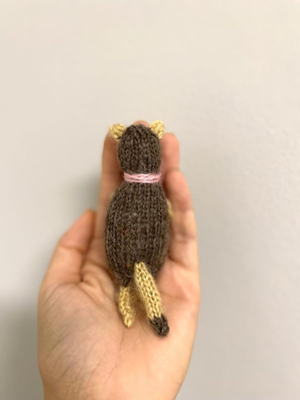 Significant Cat - Image 4