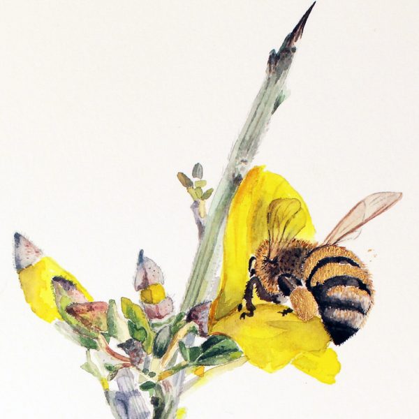 Golden Nectar: A Botanical Tribute to Bees - Image 10