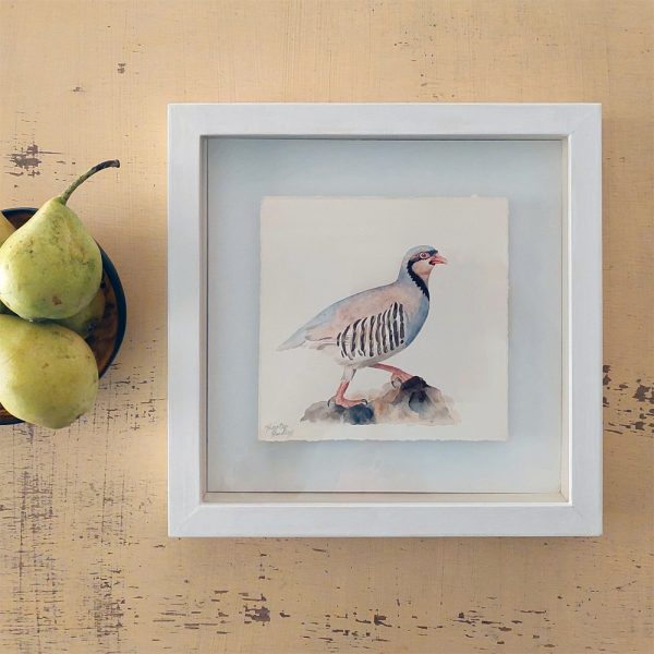 Nature's Still Life: Framed Watercolour of a Partridge - Image 2
