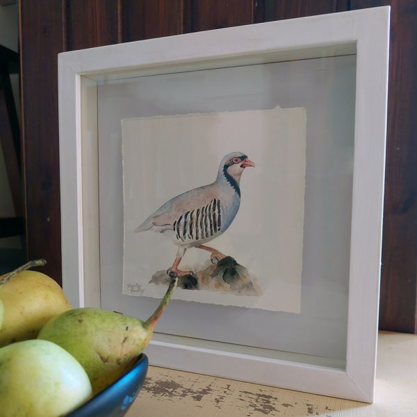Nature's Still Life: Framed Watercolour of a Partridge - Image 5