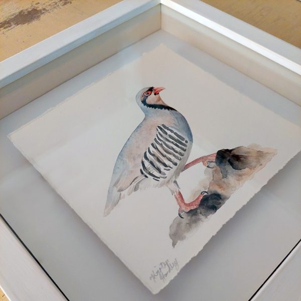 Nature's Still Life: Framed Watercolour of a Partridge - Image 7