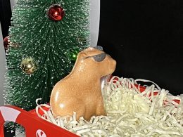 Bath bomb CAPYBARA