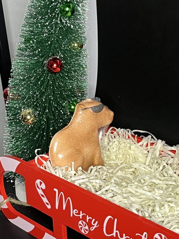 Bath bomb CAPYBARA