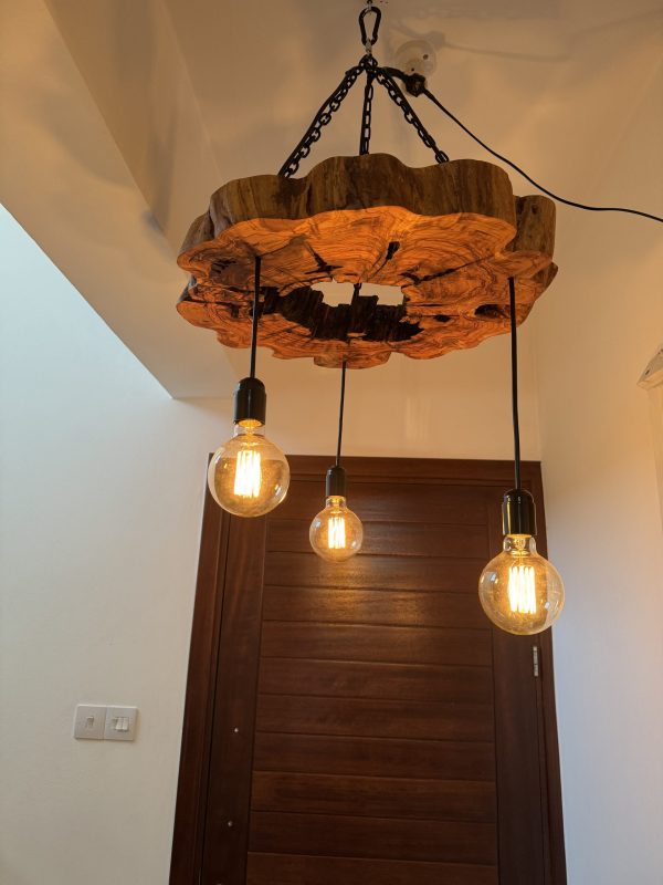 Hanging Lights Olive Wood Live Edge