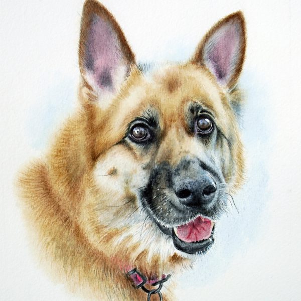 Treasured custom hand painted watercolour pet portrait