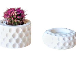 Cactus mini pot and tealight holder