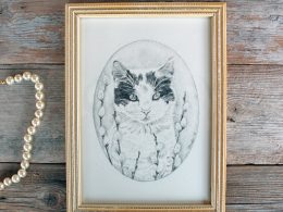 Cat graphite Illustration