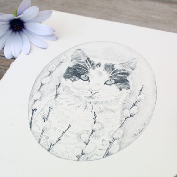 Cat graphite Ilustration