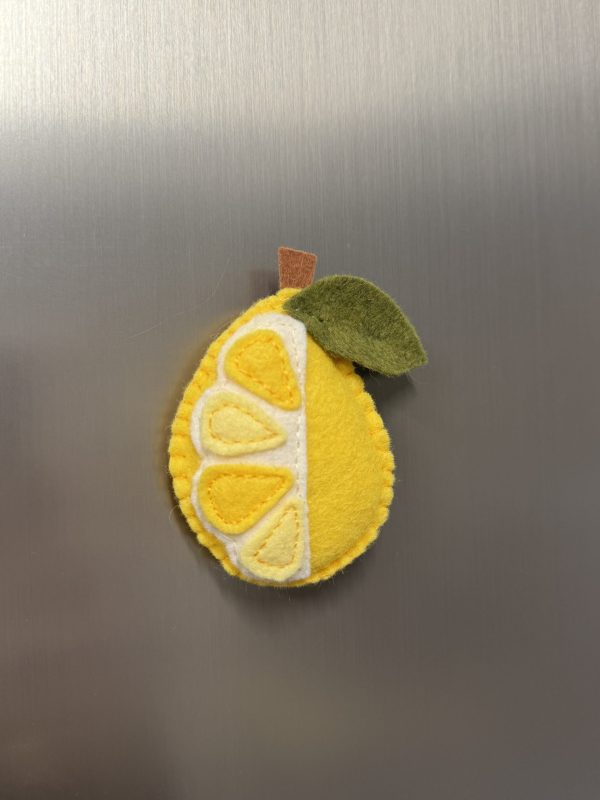 Playful Felt Fruit Magnets -3 variations