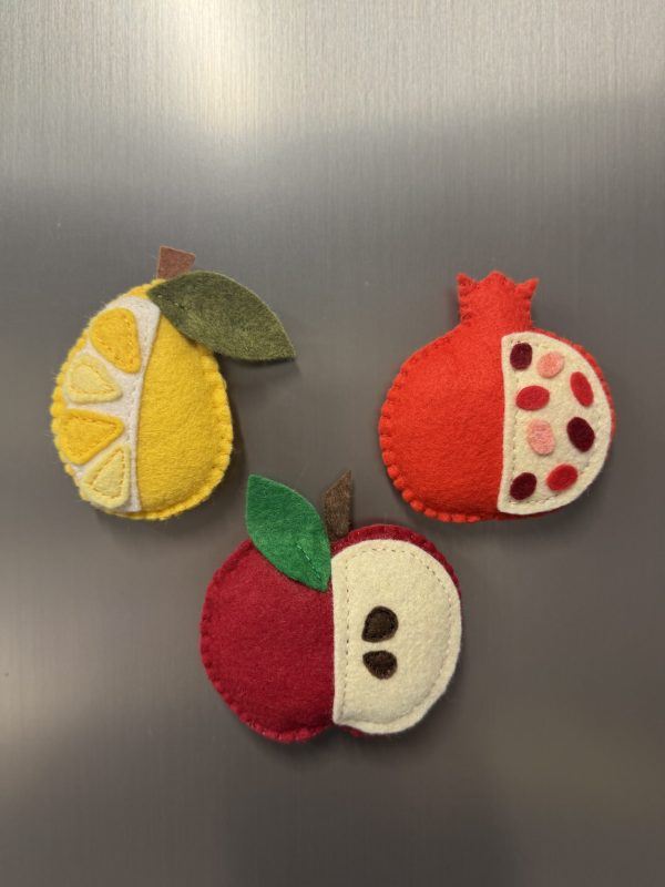 Playful Felt Fruit Magnets -3 variations