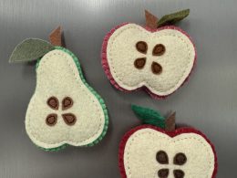 Whimsical Felt Fruit Magnets -3 variations