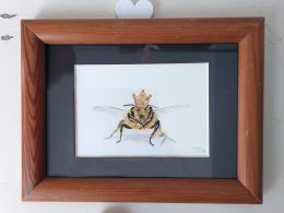 Queen bee