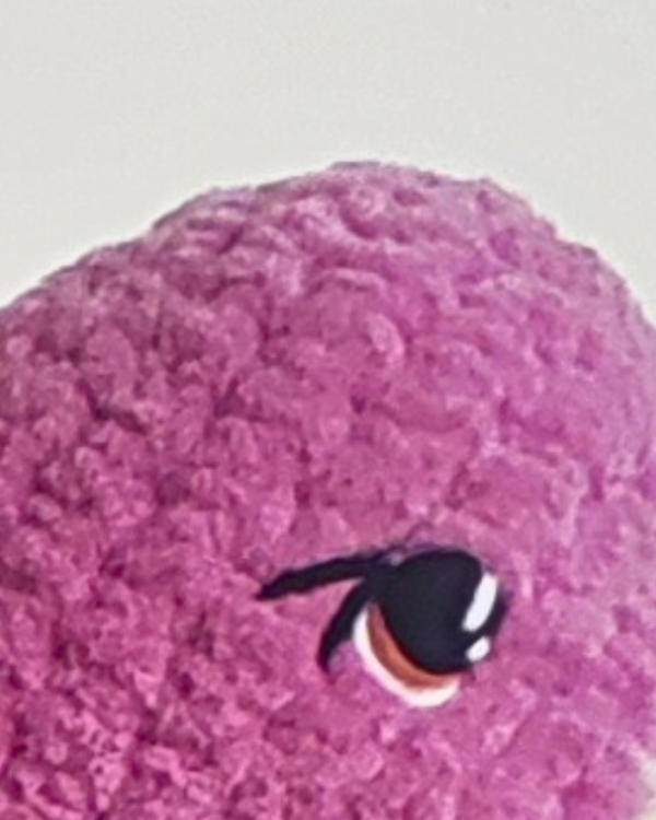 Mystery Crocheted Mini Lovey - Image 13