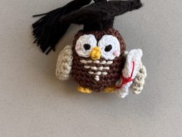 Sage – Handmade Crochet Mini Owl Graduation Keyring | The number 1 Graduation Gift!