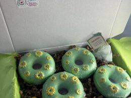 Box with four bath bomb
