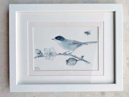 Warbler and Almond Blossom Painting