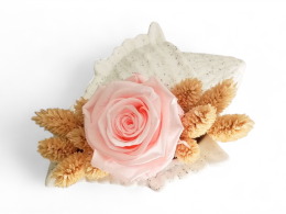 Preserved Rose - Forever rose