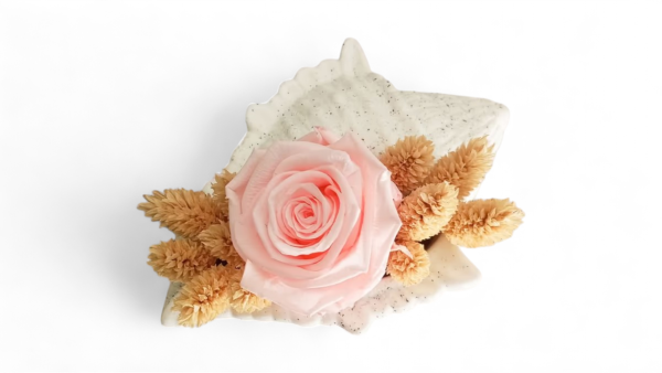 Preserved Rose - Forever rose